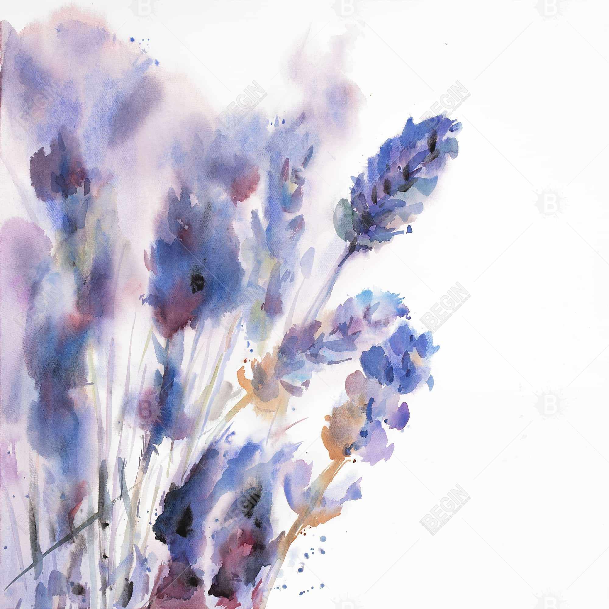 Watercolor lavender flowers with blur effect