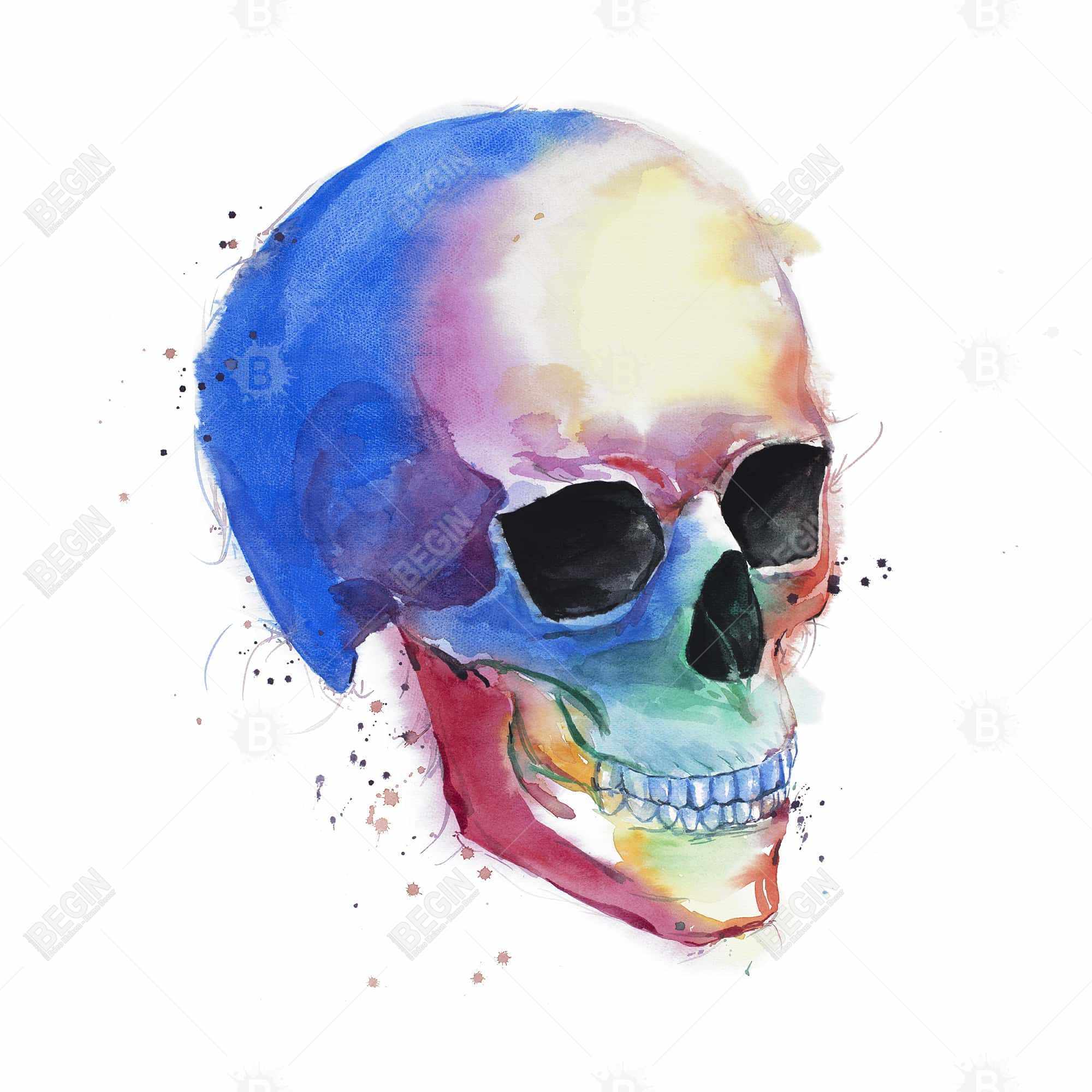 Profil de crâne coloré aquarelle
