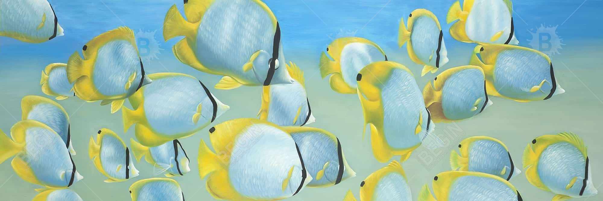 Butterfly fishes