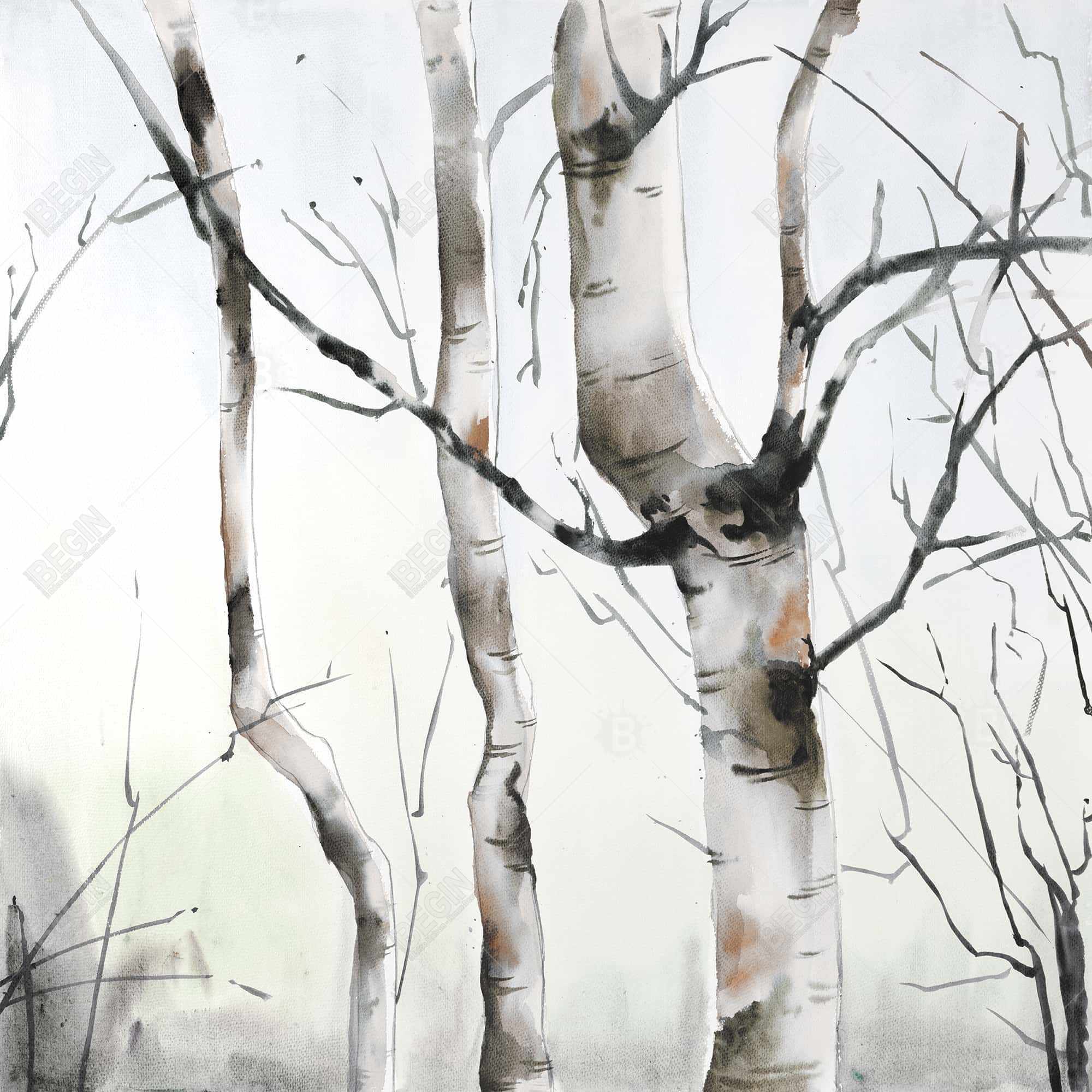 Three birches trees