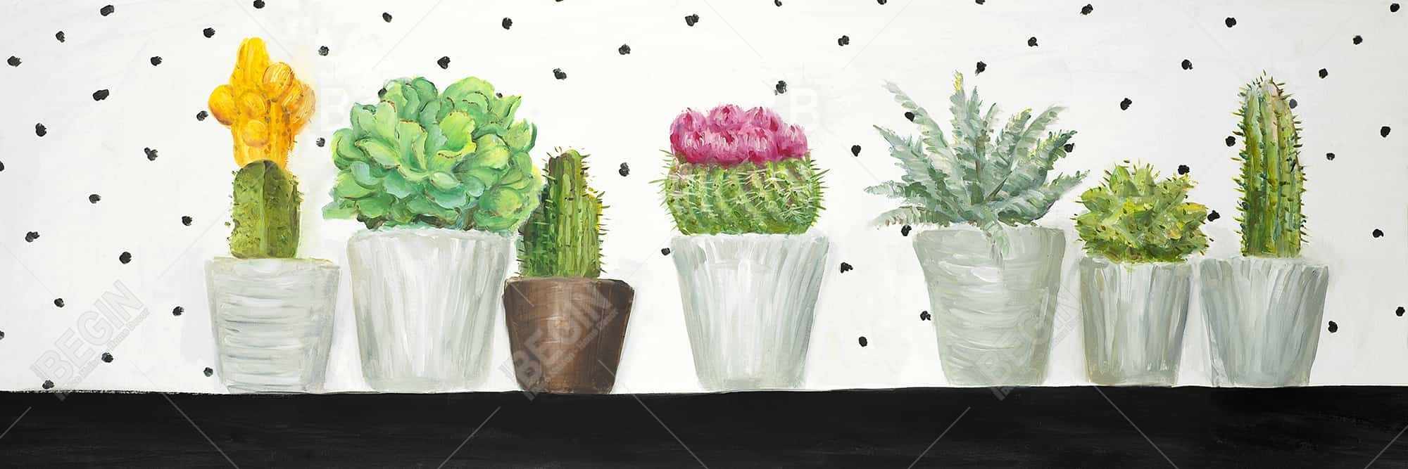 Mini cactus et succulents