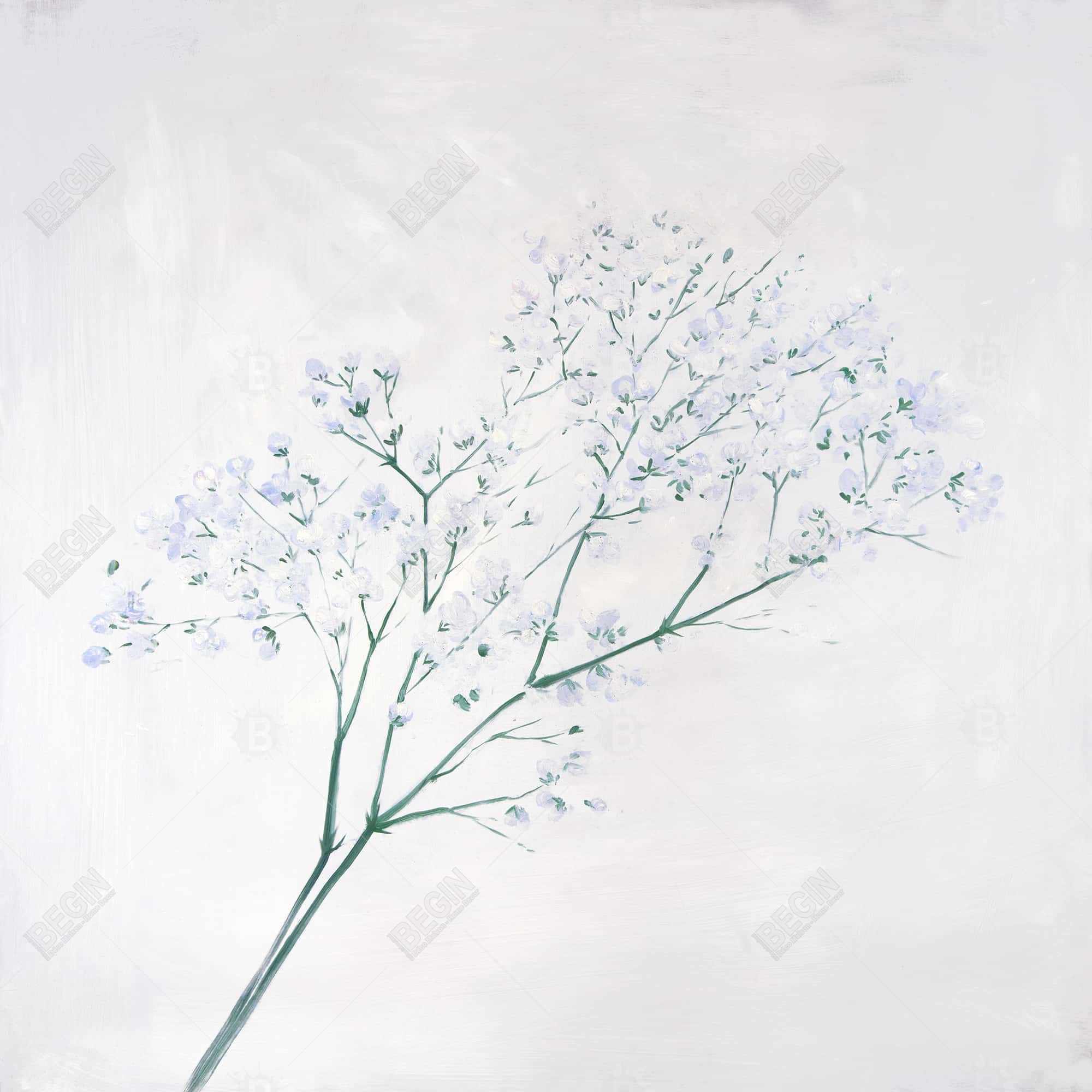 Bouquet of flowers baby's breath