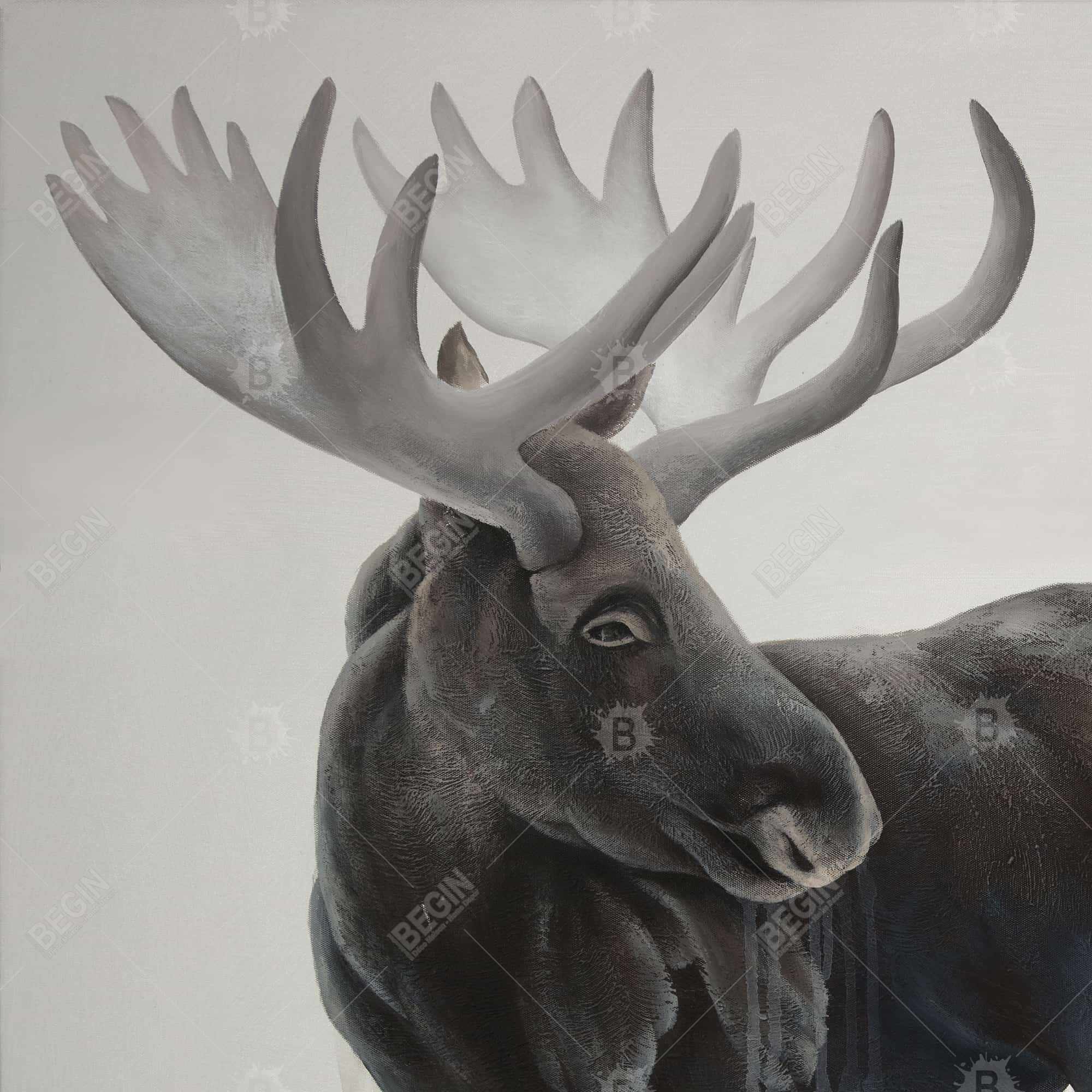Grayscale moose profile