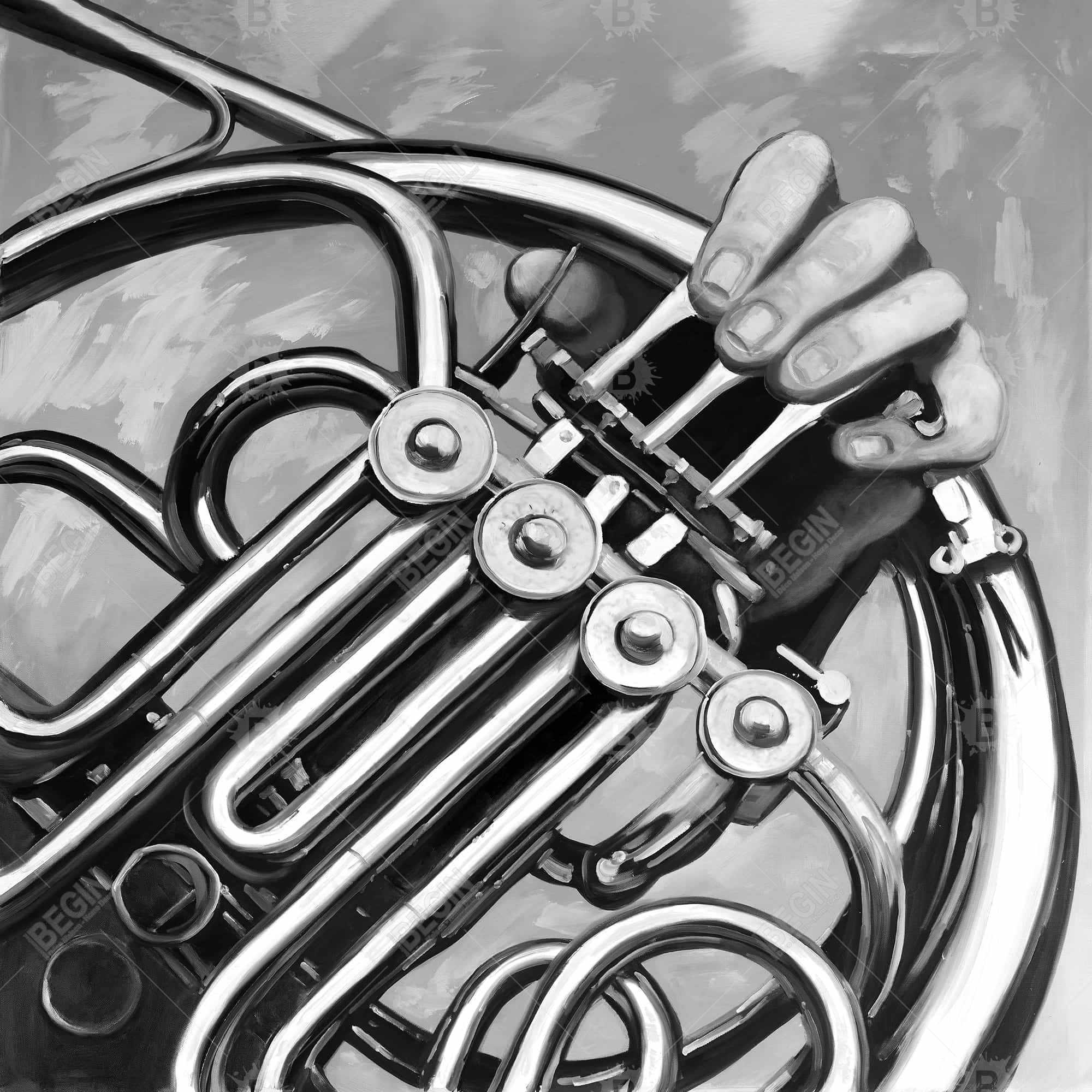 Musician with french horn monochrome