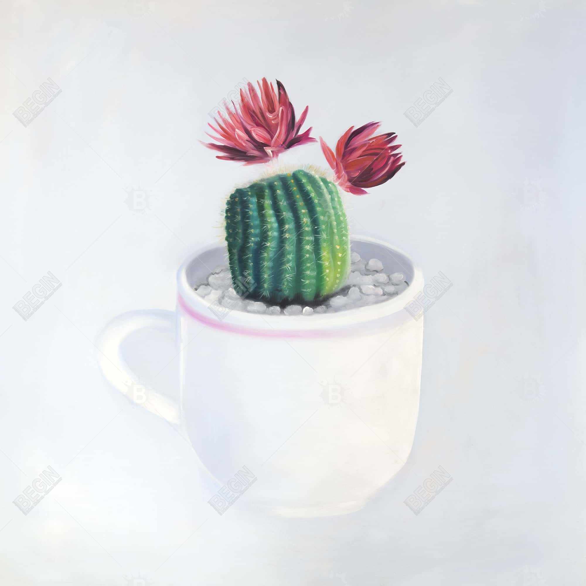 Mini cactus dans une tasse