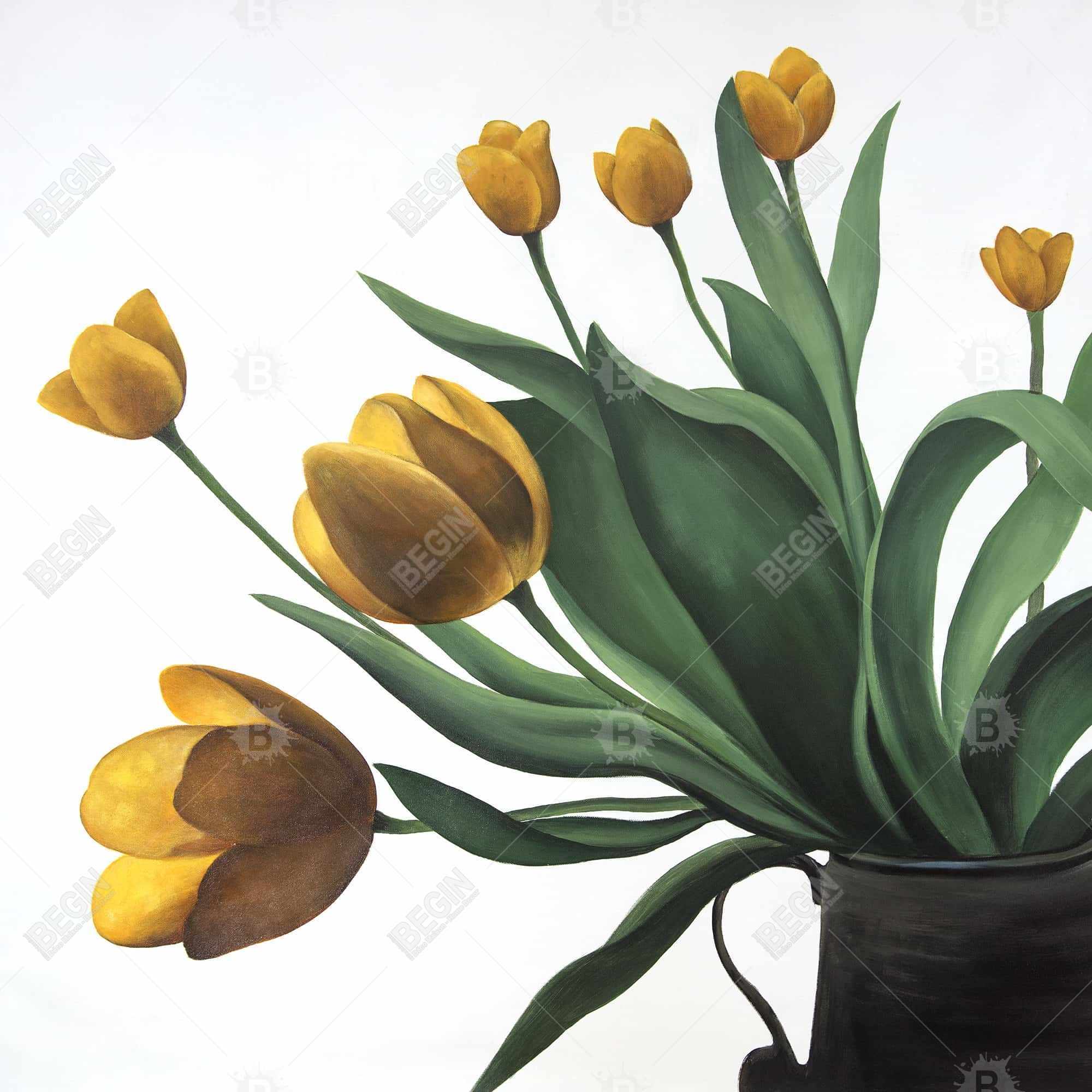 Yellow tulips