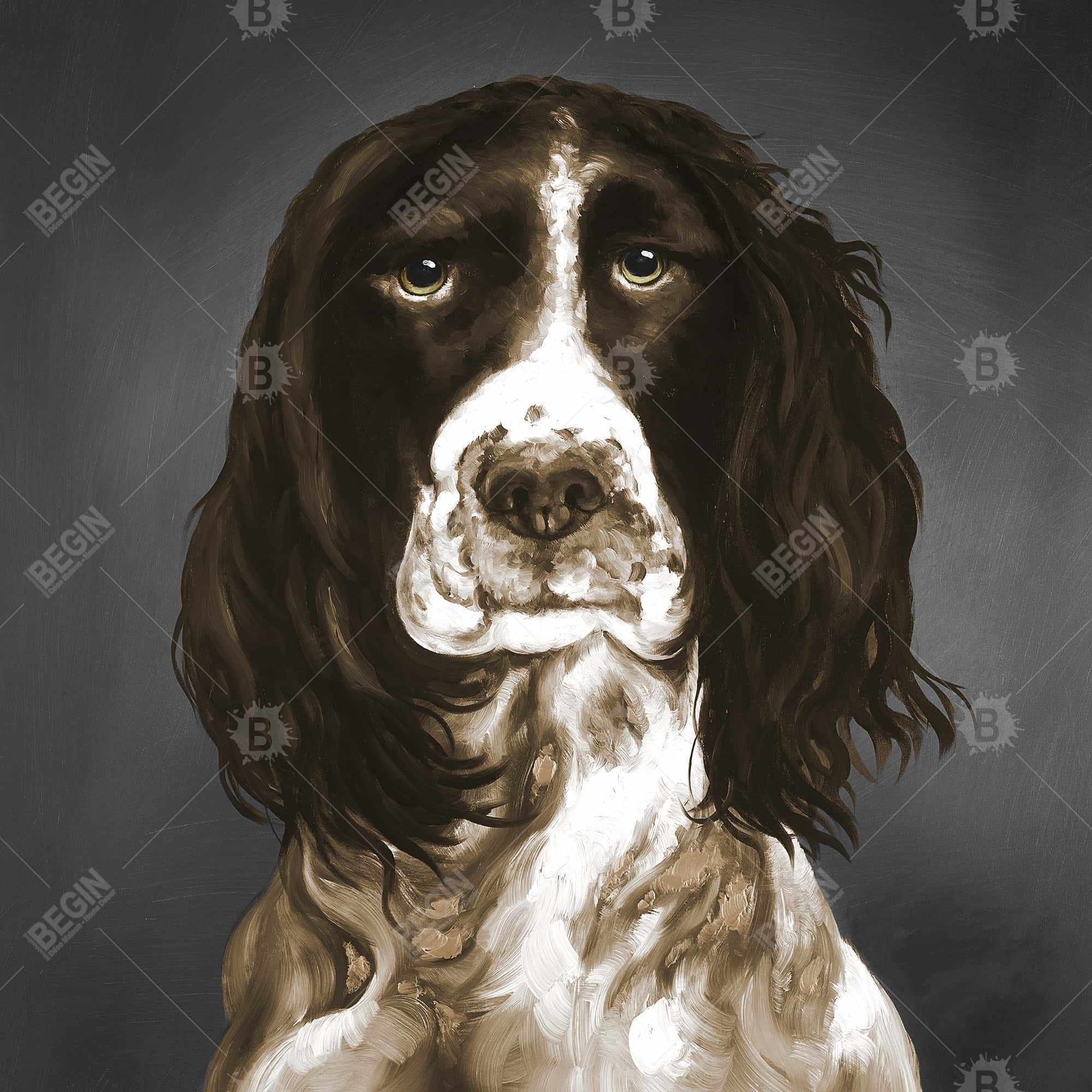 Brown english springer spaniel