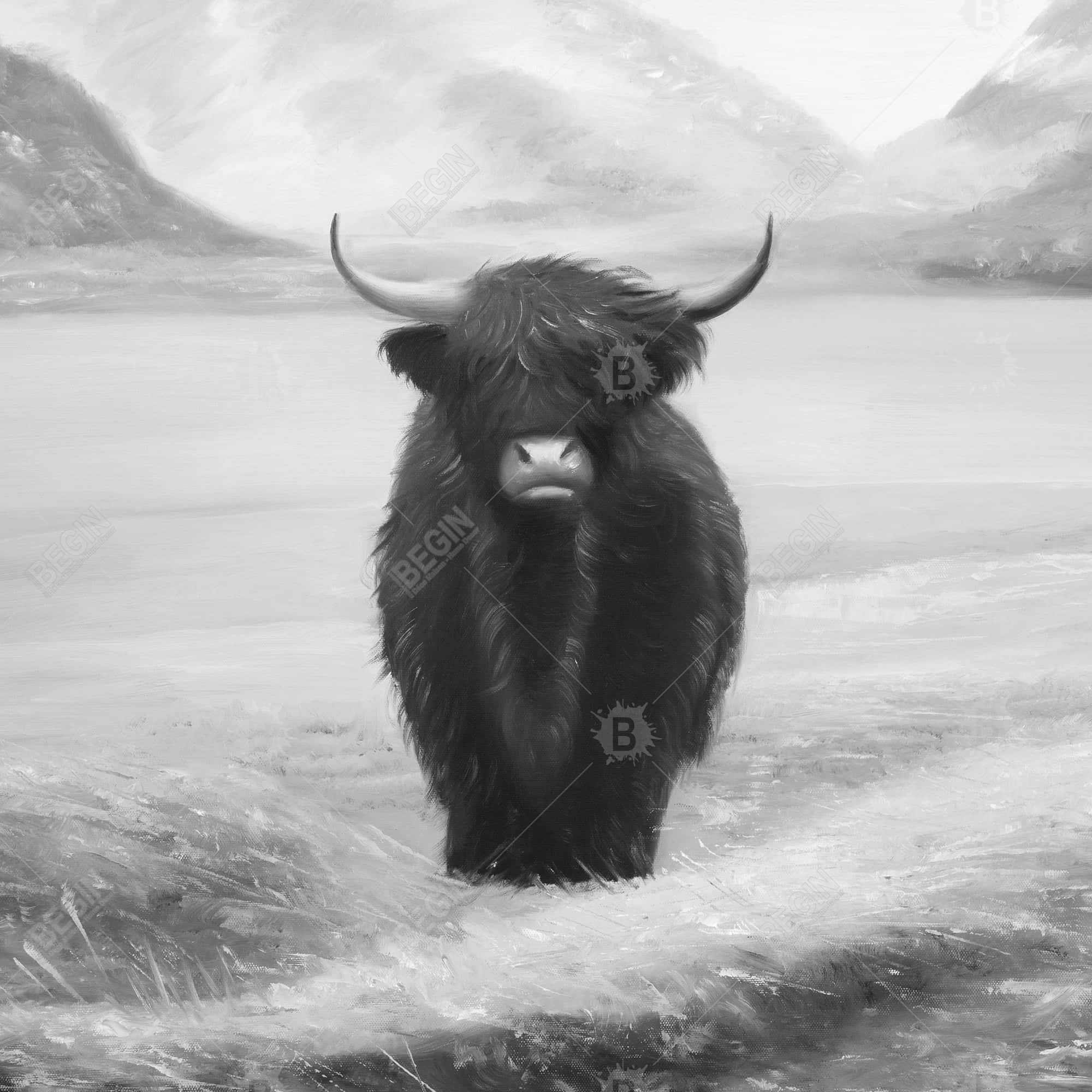 Monochrome highland cow