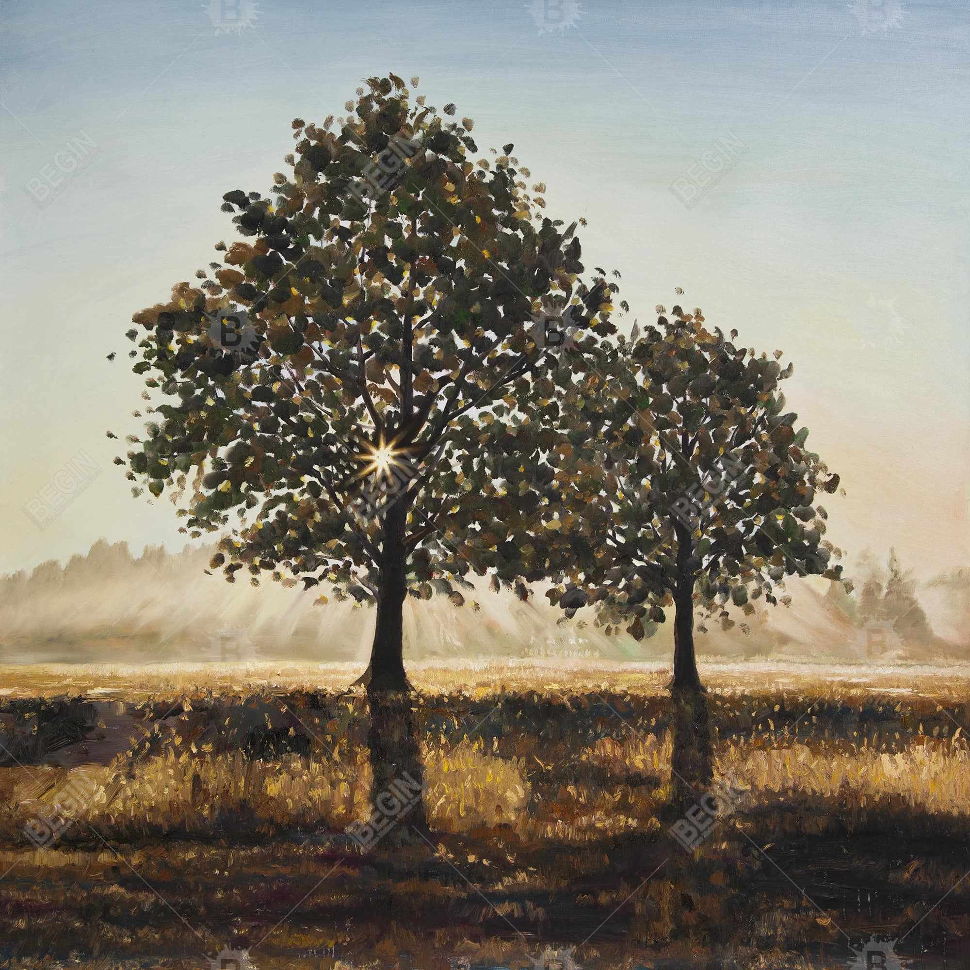 Trees in the countryside