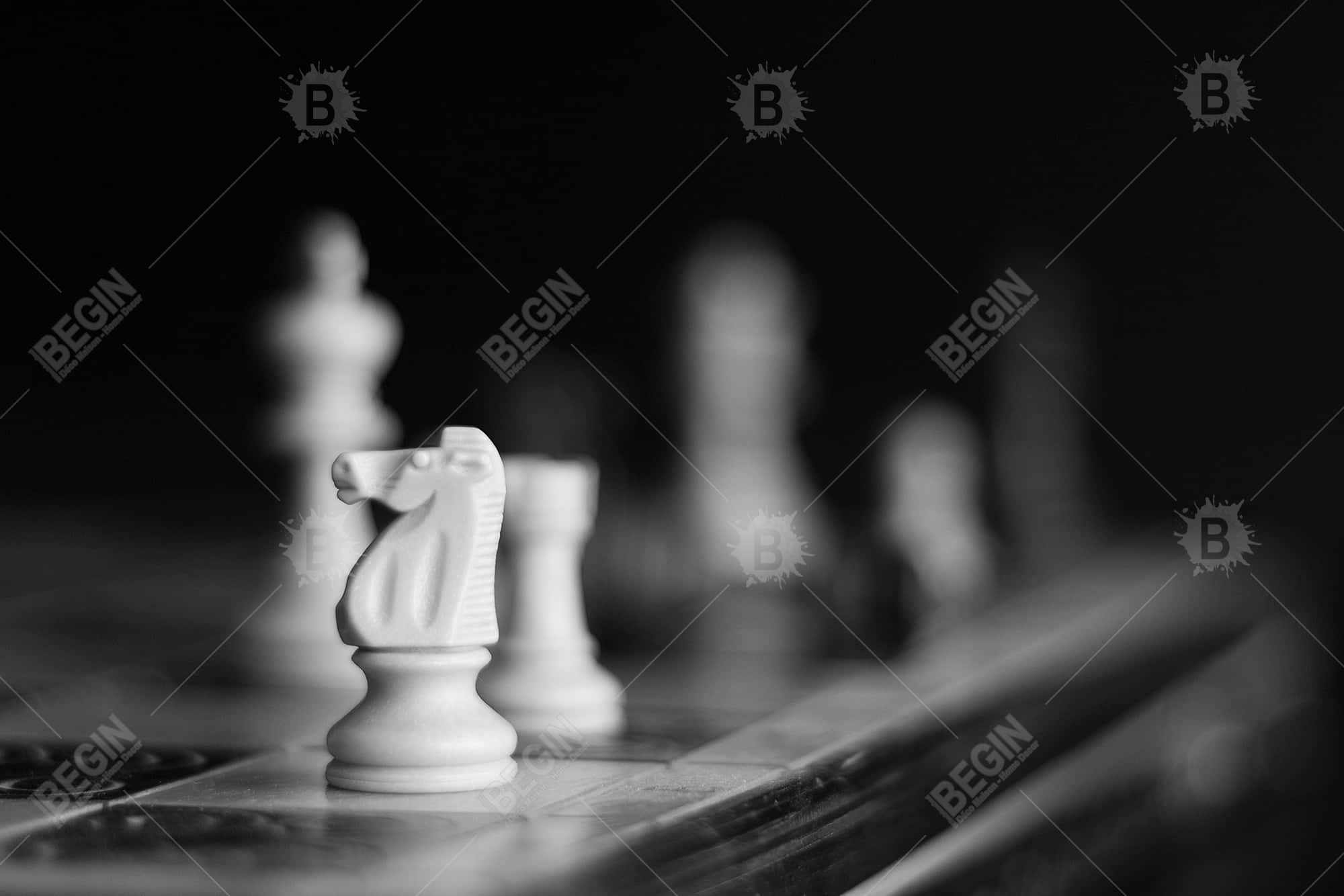 Monochrome chess games