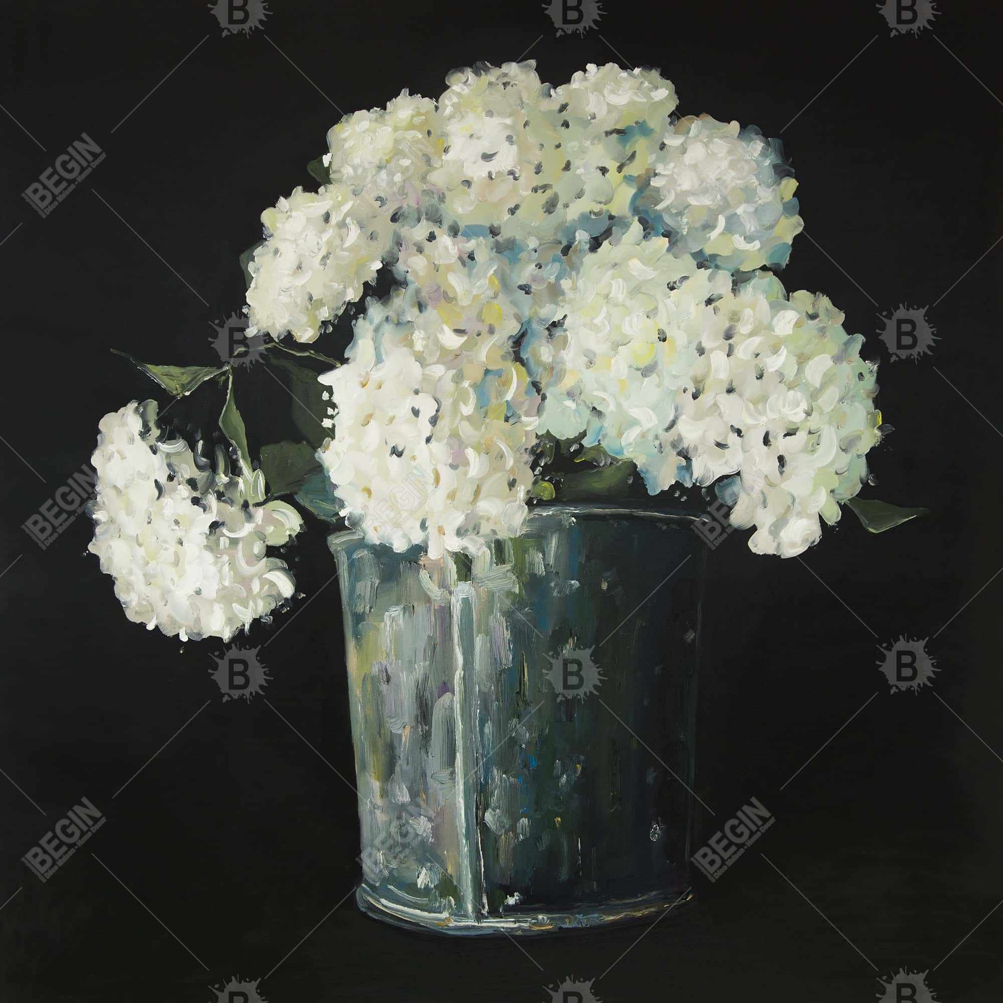 Fleurs hydrangée blanche