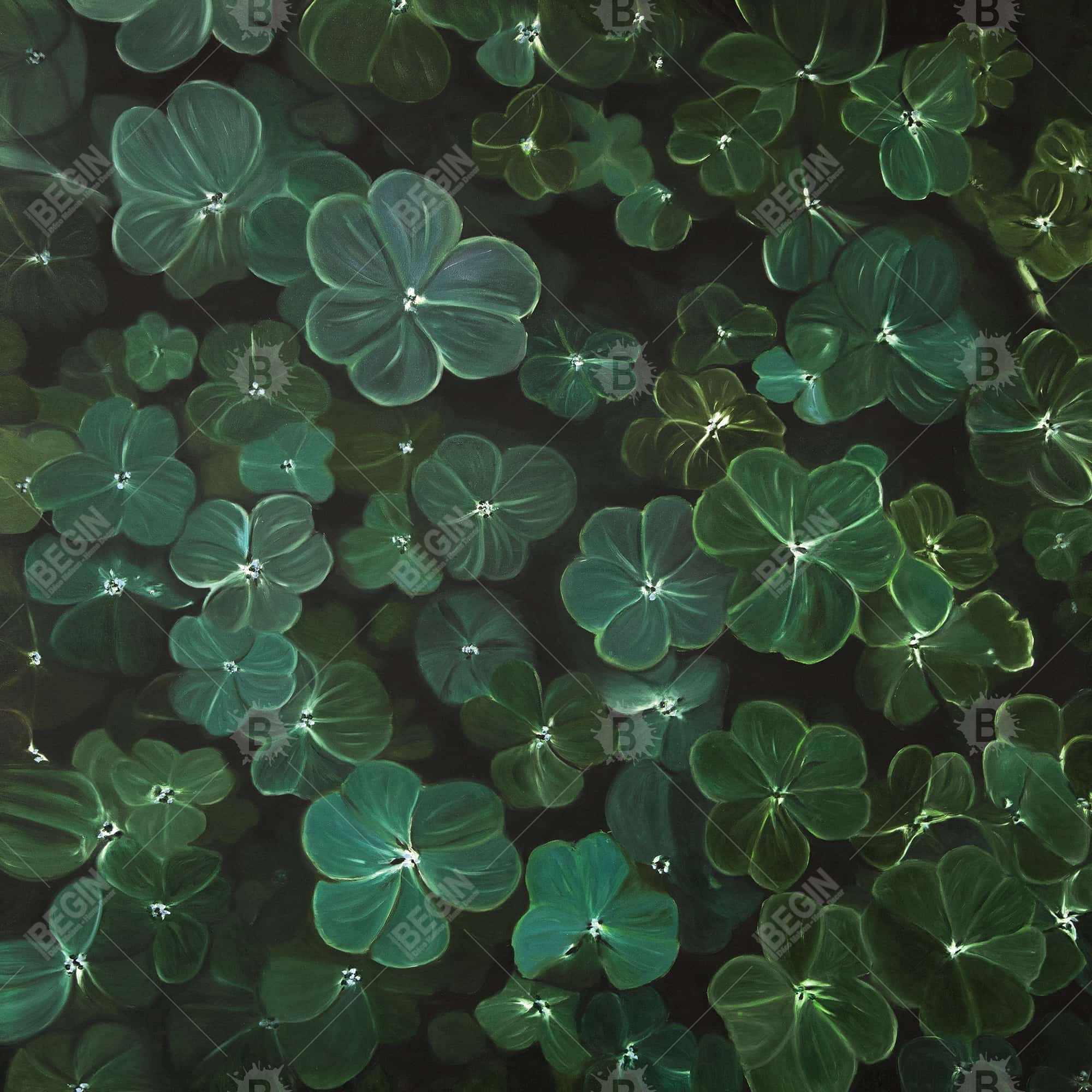 Clovers