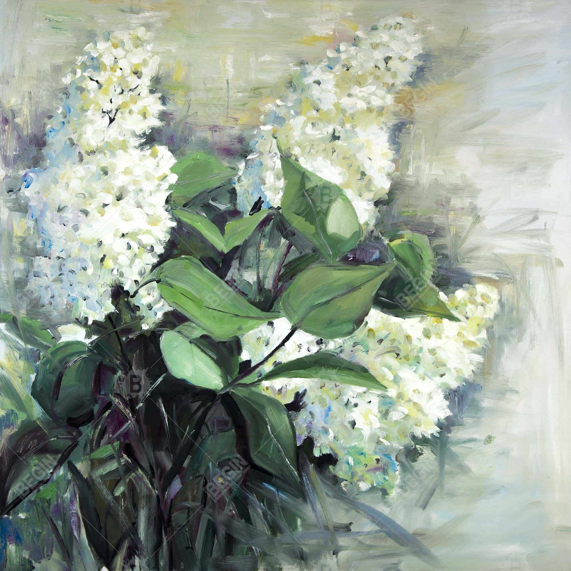 White lilacs