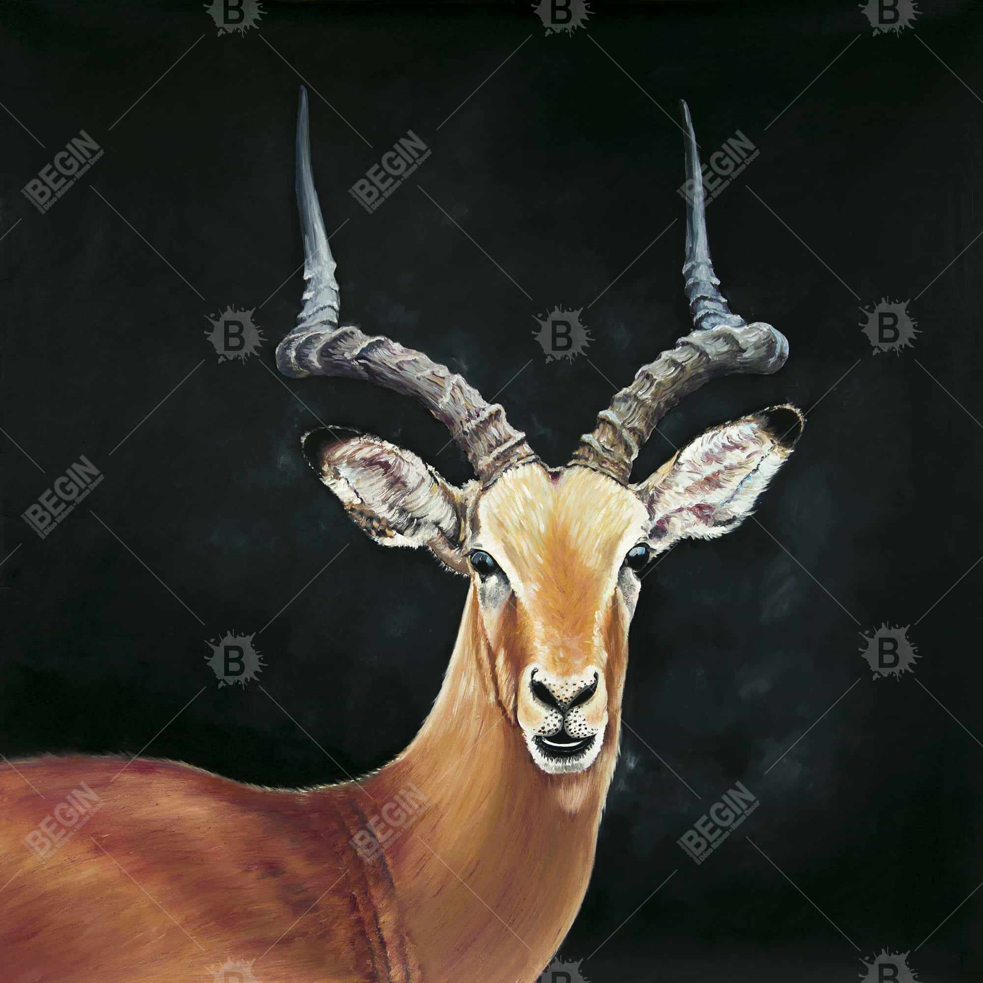 Antilope