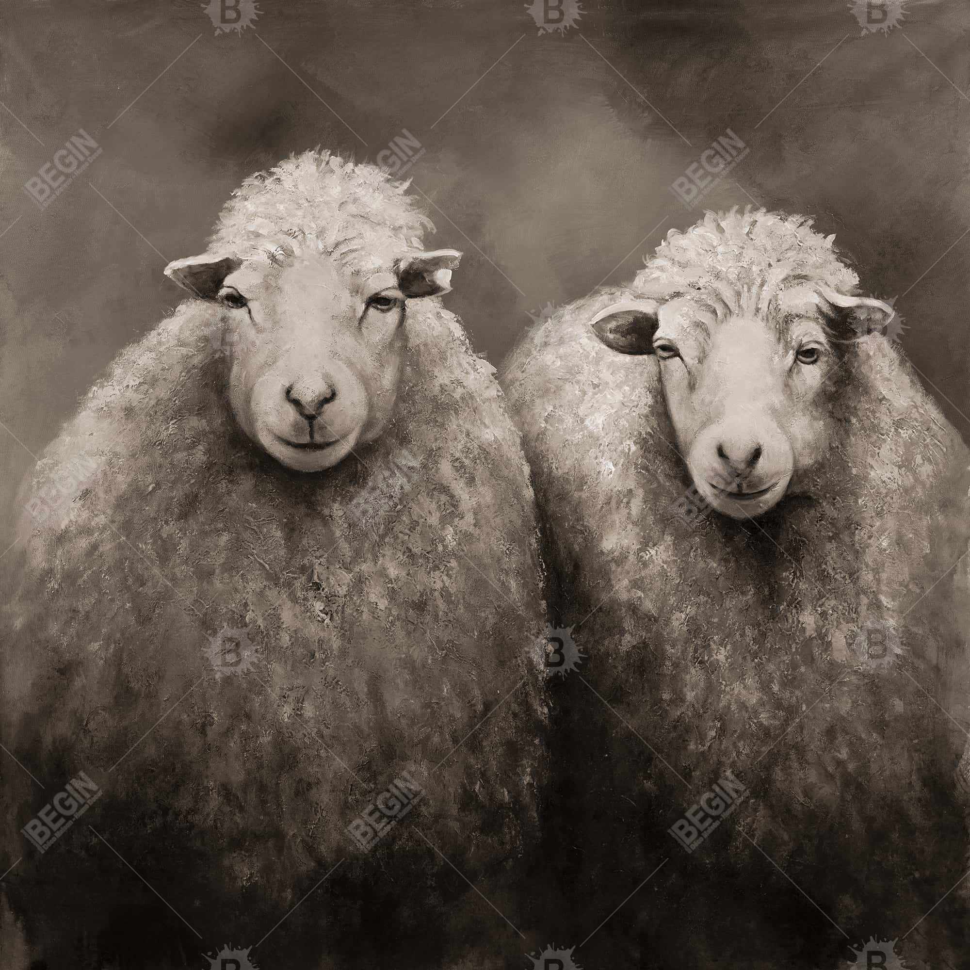 Sheep sepia