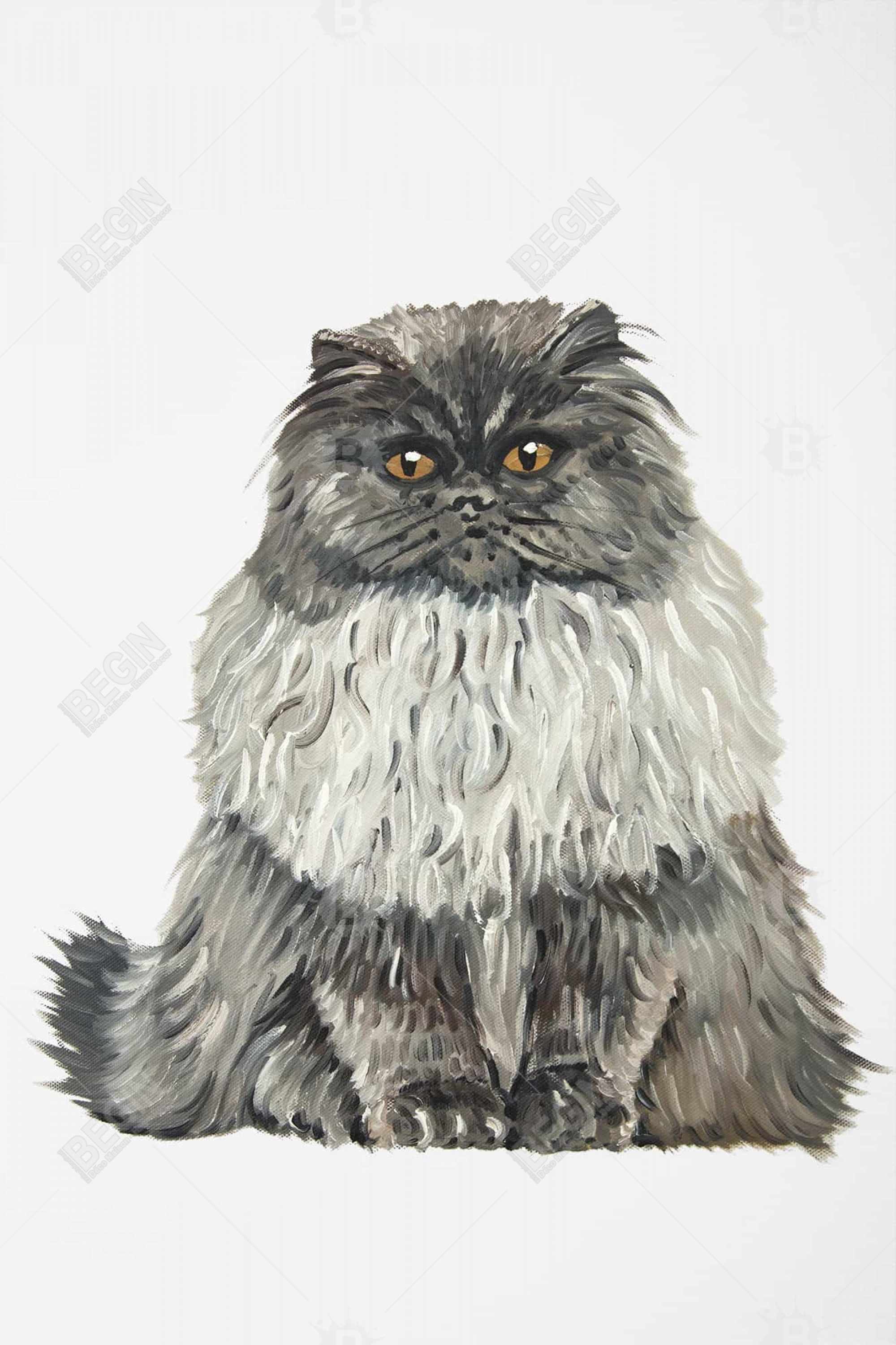 Blue gray persian cat