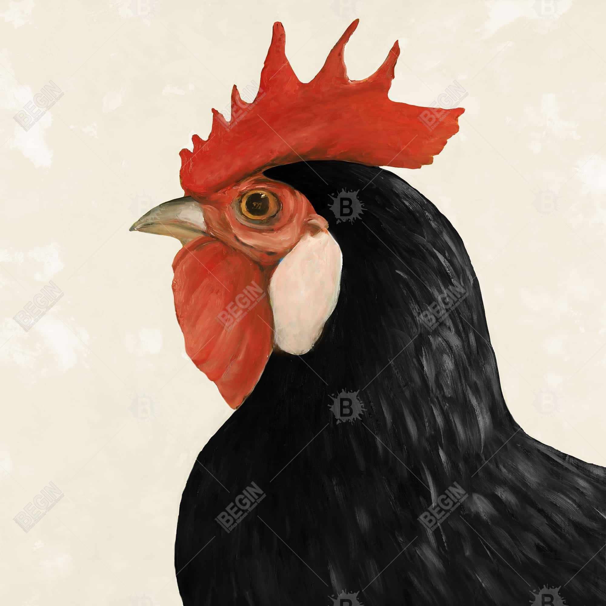 Beautilful black hen