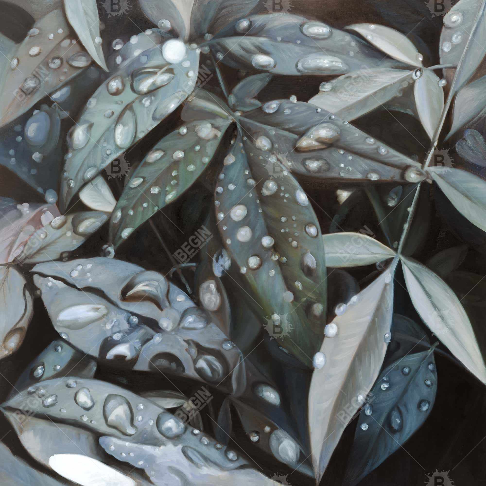 Leaves after rain