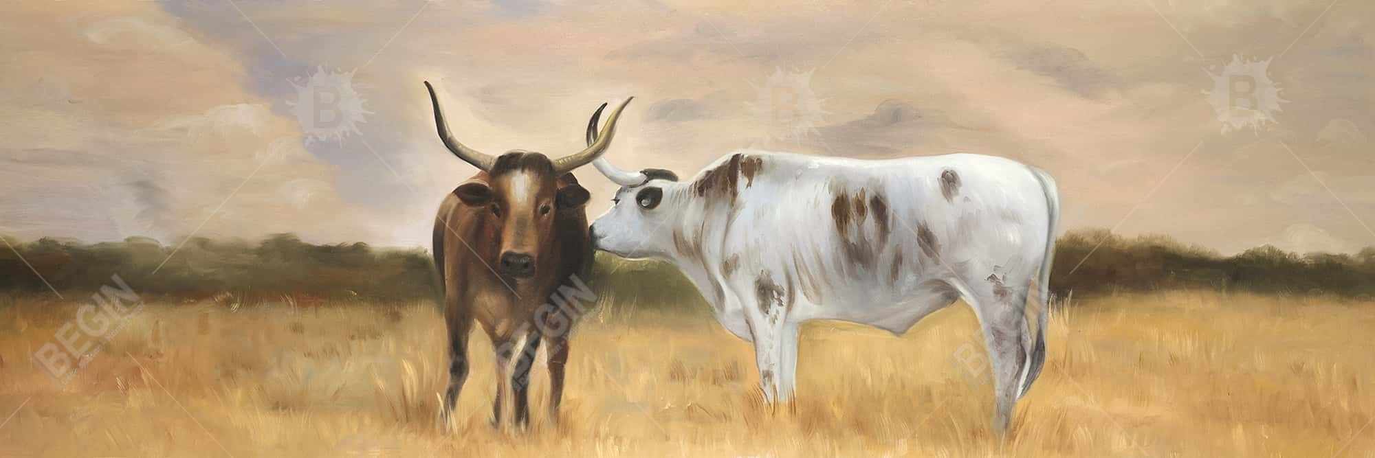 Nguni herd