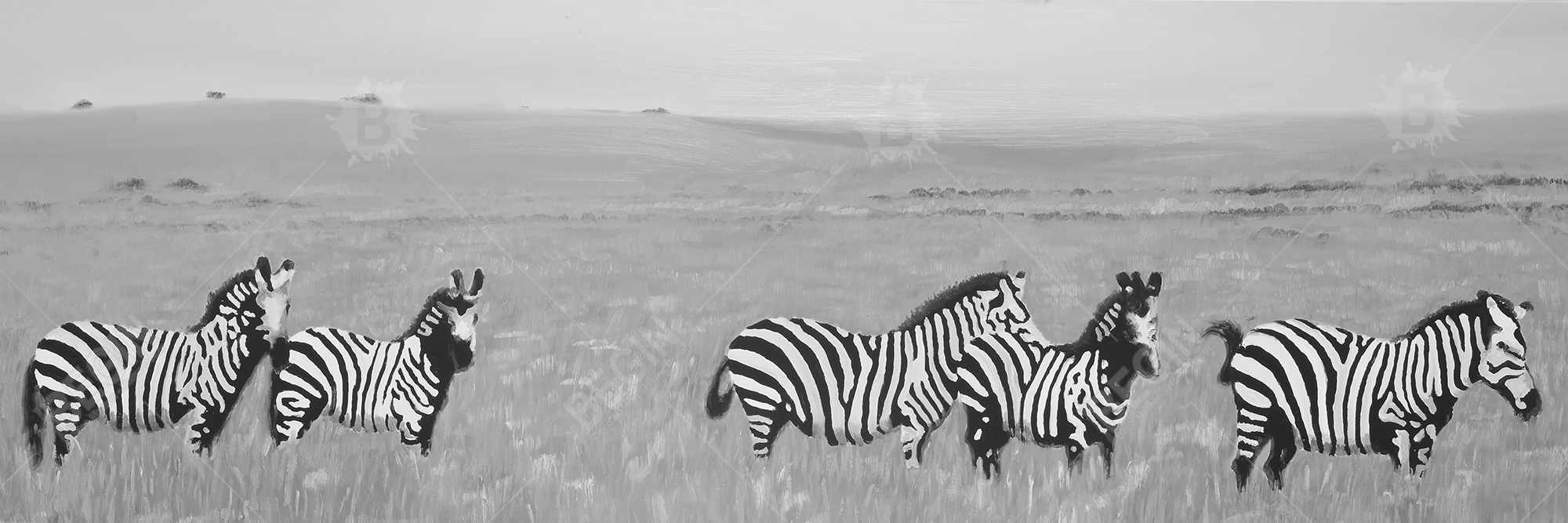 Zebras in the savannah