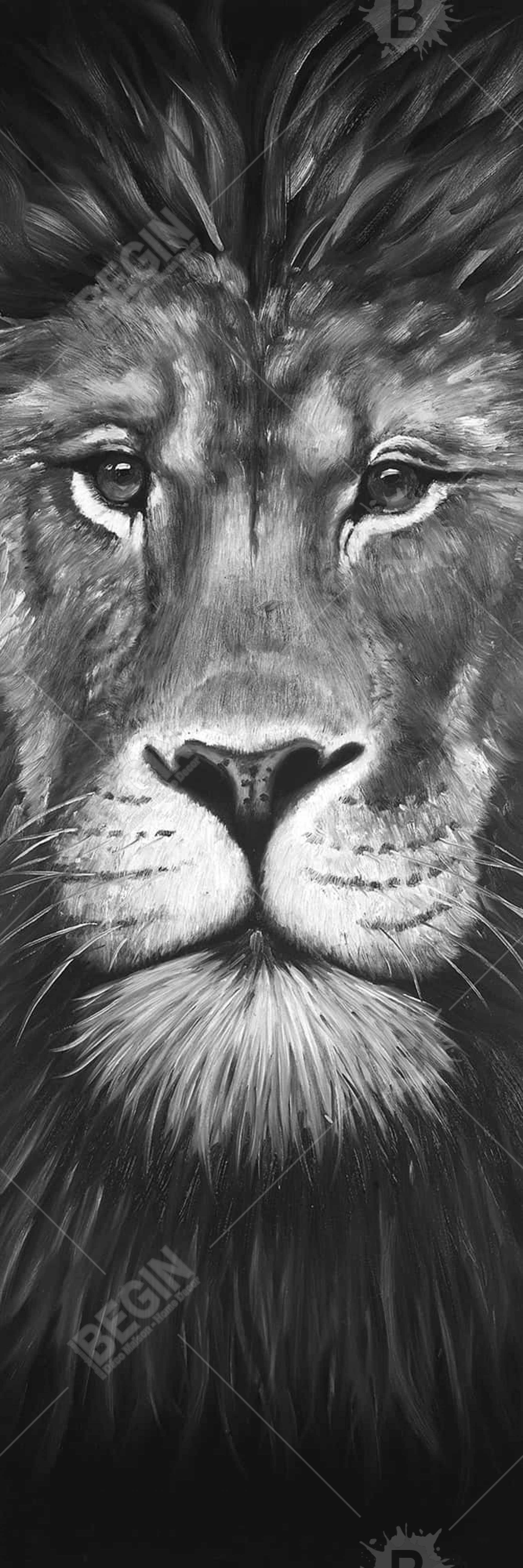 Portrait de lion